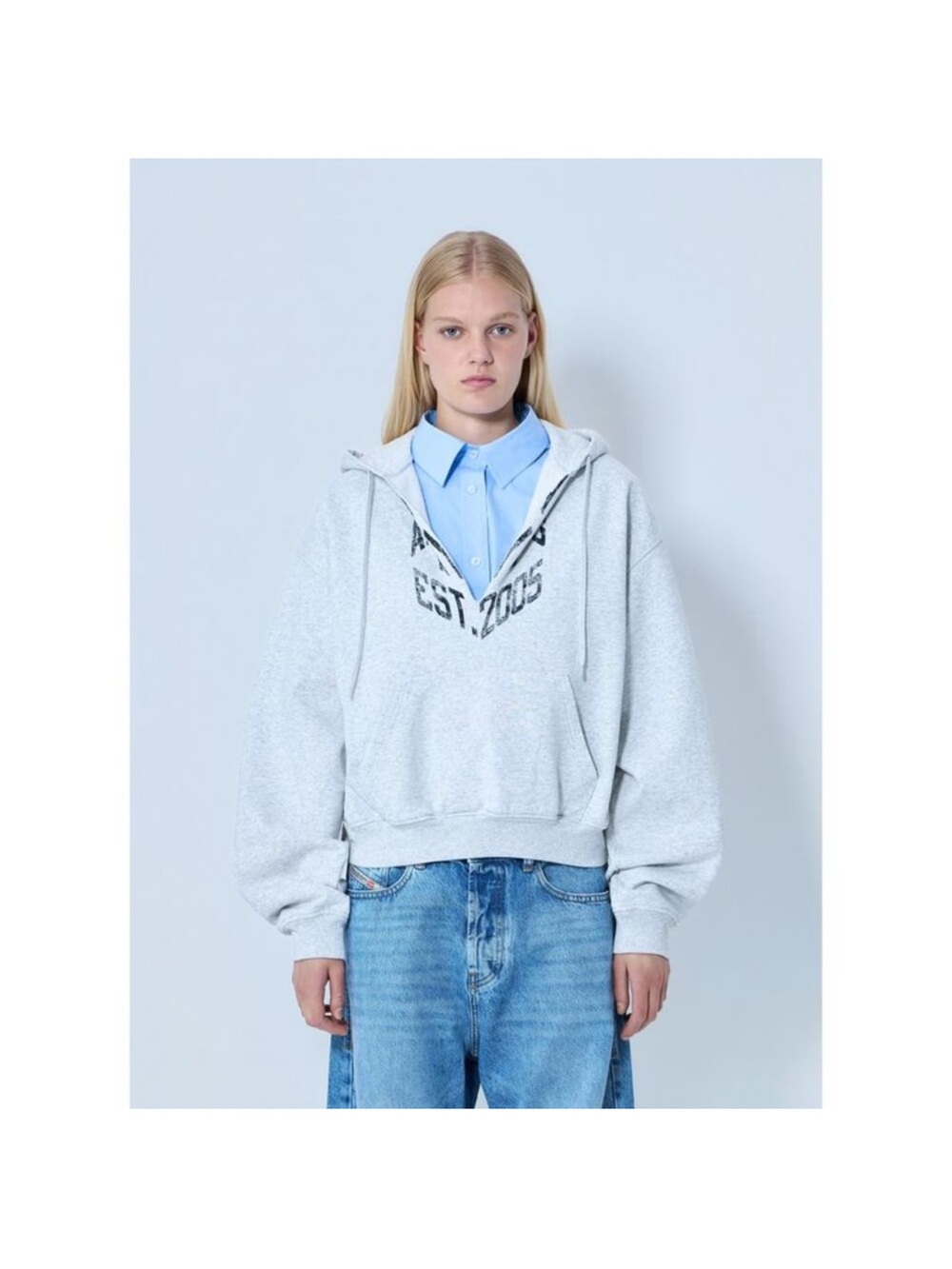 Alexander Wang Light Gray Hooded V-Neck Sweater